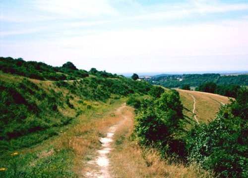 A picture of Cissbury Ring