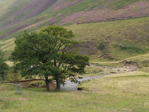 View in the High Peaks, Snake Pass, near Glossop.
