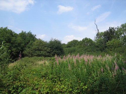 Shotover Country Park.