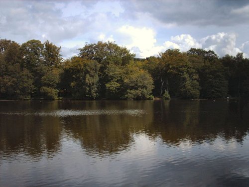 view of slaugham lake, slaugham, west sussex.