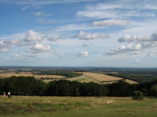 Kingley Vale Nature Reserve, West Sussex