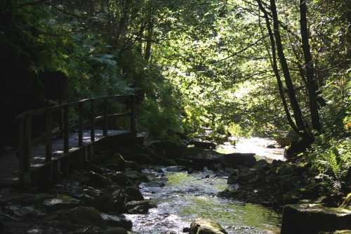 A view by the walkway towards the waterfall @ THORTERGILL FORCE, 
Thortergill in Weardale