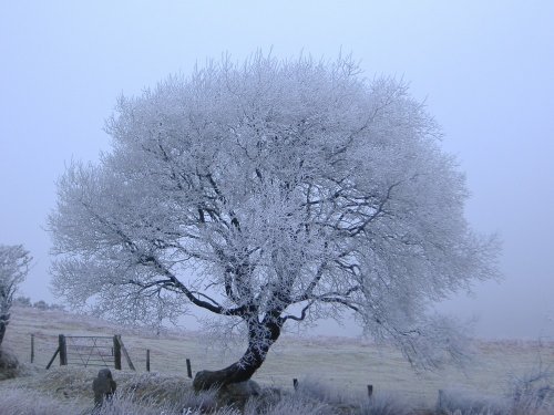 Fits well, Okehampton, Dartmoor
