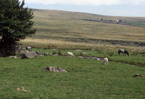 LANDSCAPES IN BODMIN MOOR