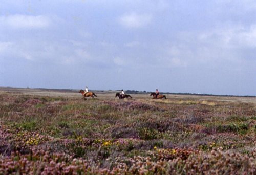Images of Lizard, Cornwall