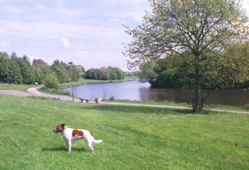 Hemlington Lake, situated on the Southern outskirts of Middlesbrough