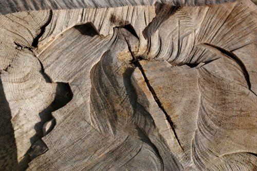 DRIFTWOOD on the shore at tees mouth, Berwick-upon-Tweed