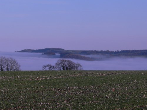 Low lying fog, on Somerset levels