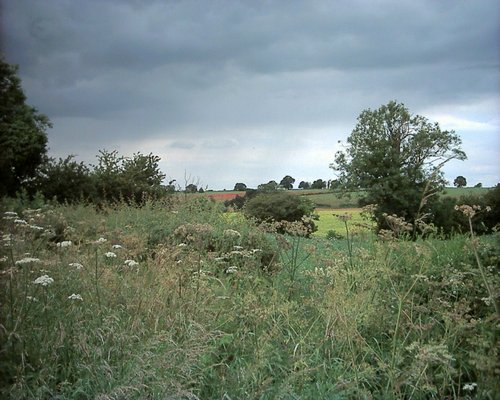Countryside near Hannington, Northamptonshire