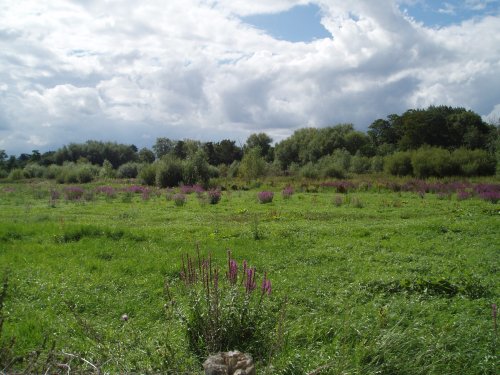 Marlow, Buckinghamshire - August 2006