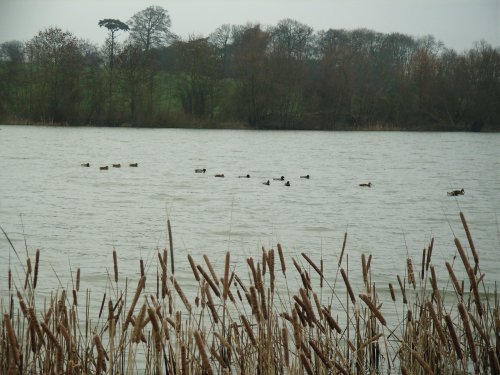 Stanford Reservoir, Leicestershire
