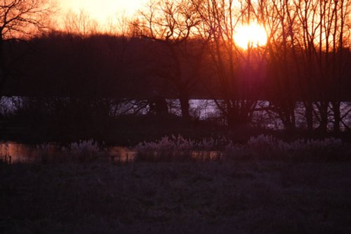 Early winter evening, Kingsbury water park, North Warwickshire.