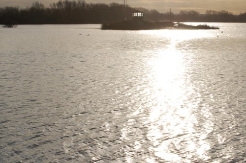 winter morning, Kingsbury water park, North Warwickshire.