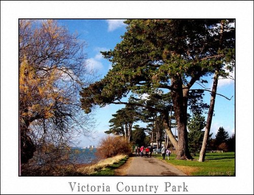 Royal Victoria Country Park. Netley, Southampton, a sunny day January 2007