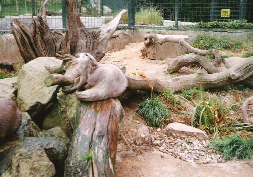 Thrigby Hall Wildlife Gardens, Norfolk.