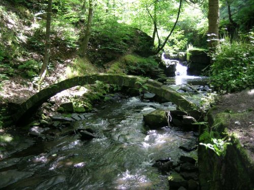 Country walks, Healey Dell, Whitworth, Lancashire