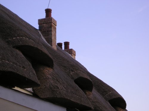 Fen Ditton, Cambridgeshire