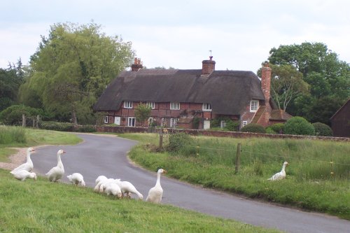 A cottage in Breamore. Hampshire 
(Photo taken in June 2005)