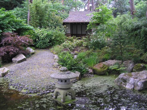 Japanese Garden at Pine Lodge Gardens, St Austell, Cornwall