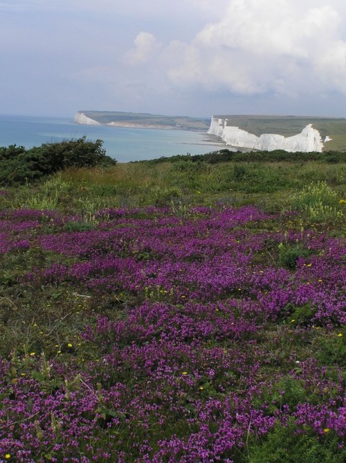 From Beachy Head towards Birling Gap, East Sussex