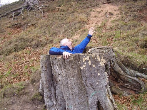 'My dads fallen down a hole in a tree stump'.... - ....Feb 07