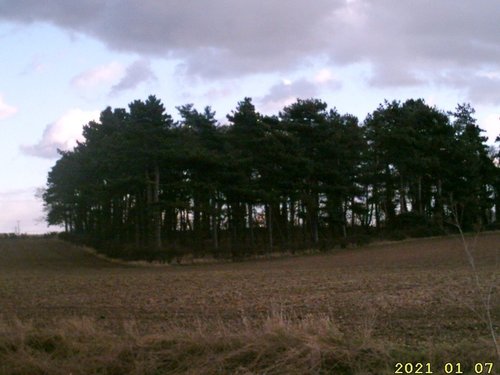 A corpse at the side of the River Ryton. Worksop, Nottinghamshire