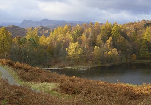 Autumn Tarn hows, English Lakes. October 2006. Canon Powershot 400