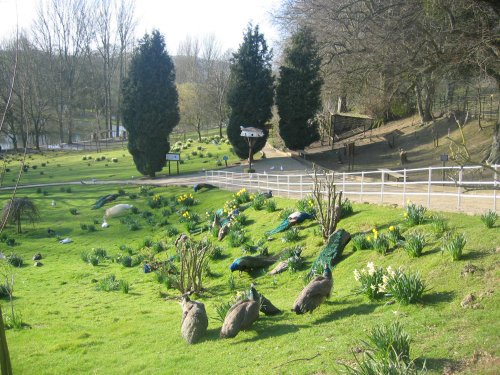 Prinknash Park, Gloucestershire