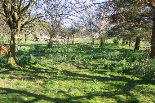 Hylands Park, Chelmsford, Essex