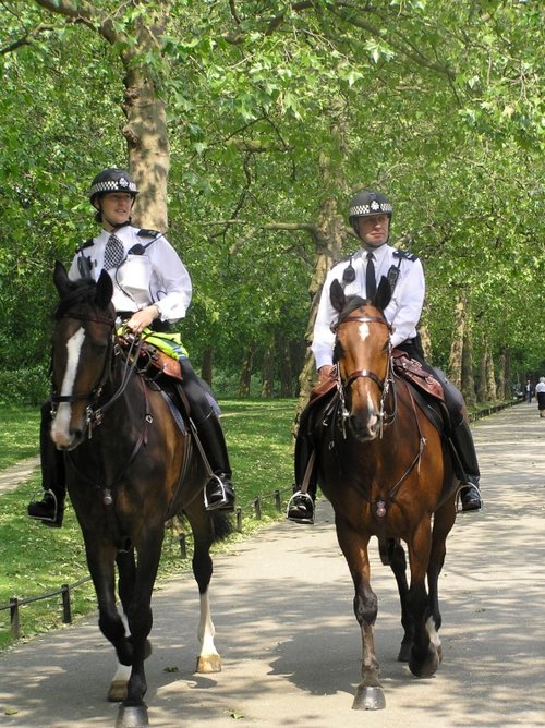 A picture of St James's Palace