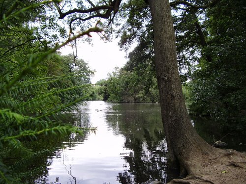 Lake at Elvaston Castle, Derbyshire.