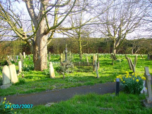 St Peters Church old graveyard lots of daffodils grow between ancient graves.
At Trusthorpe, Lincs