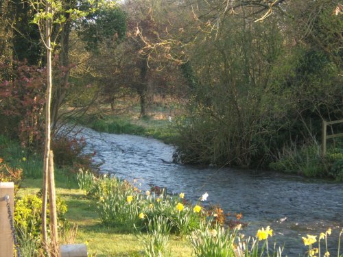 Mill hill river walk, Alresford, Hampshire
