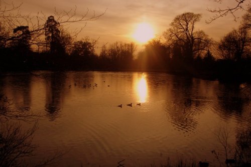 Lake in Danbury Park, Chelmsford, Essex, at dusk