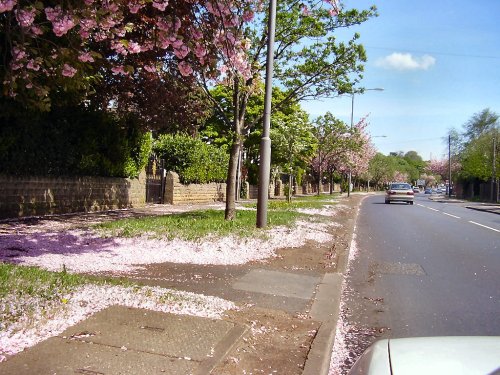 Nottingham Road, Stapleford, Nottingham.