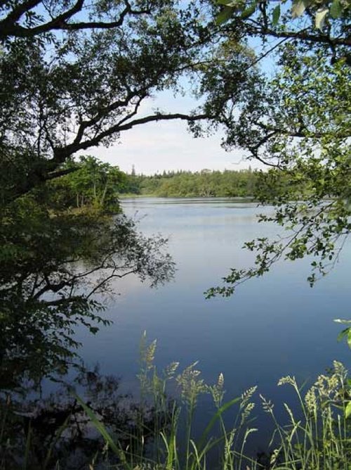Bolam Lake, Bolam, Northumberland