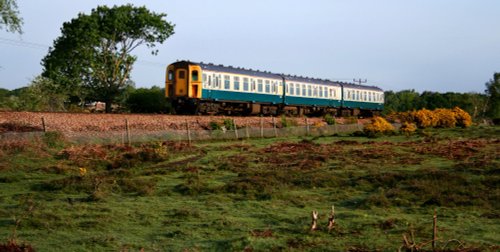 Lymington to Brockenhurst train, New Forest, Hampshire
