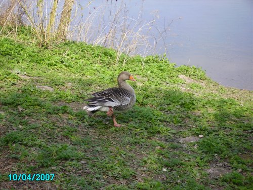 A picture of Rufford Abbey