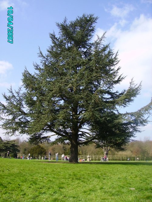 A picture of Rufford Abbey, Ollerton, Nottinghamshire