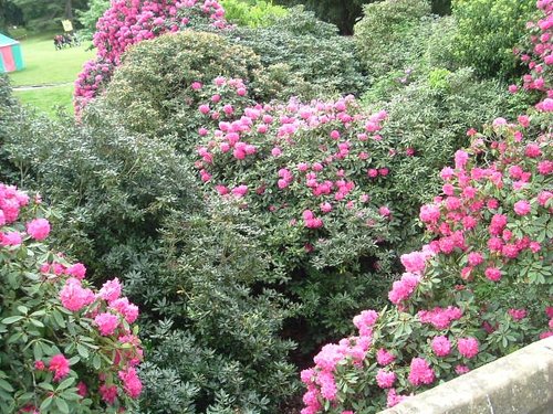 Warwick, Warwickshire