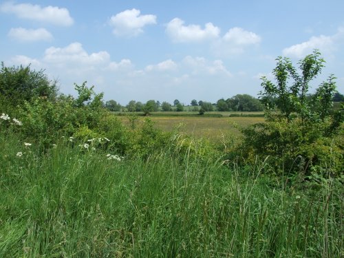 Fosse Meadows, Sharnford, Leicestershire