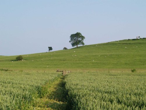 Country walk near Quainton