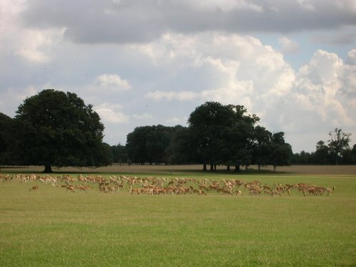 Holkham Hall Gardens - Norfolk