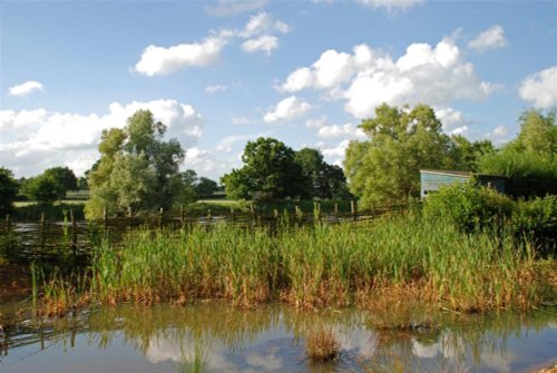 Hide at Sevenoaks Wildfowl Reserve