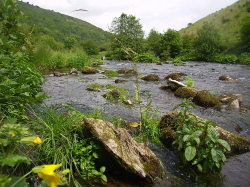 A view looking back up the River Wye on the Monsal Dale - Peak District