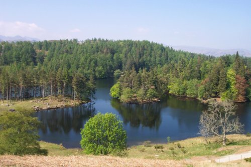 Tarn Hows, Coniston, Cumbria
