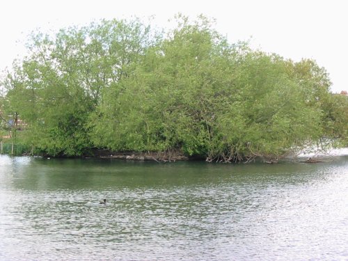 Baffins Pond, Portsmouth
