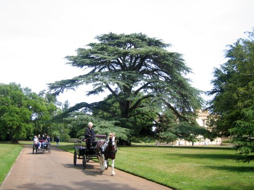 Osborne House Grounds, Isle of Wight