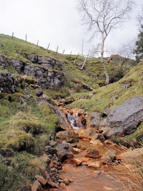 Spring flowing from the hillside in Teesdale, County Durham