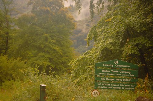 Looking towards biblins bridge, Doward, Herefordshire.